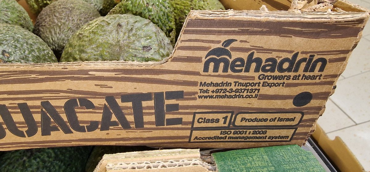 Monira Moon 🗝️ 🇳🇨 ❤️🇵🇸 🔻🇱🇧 tweet media