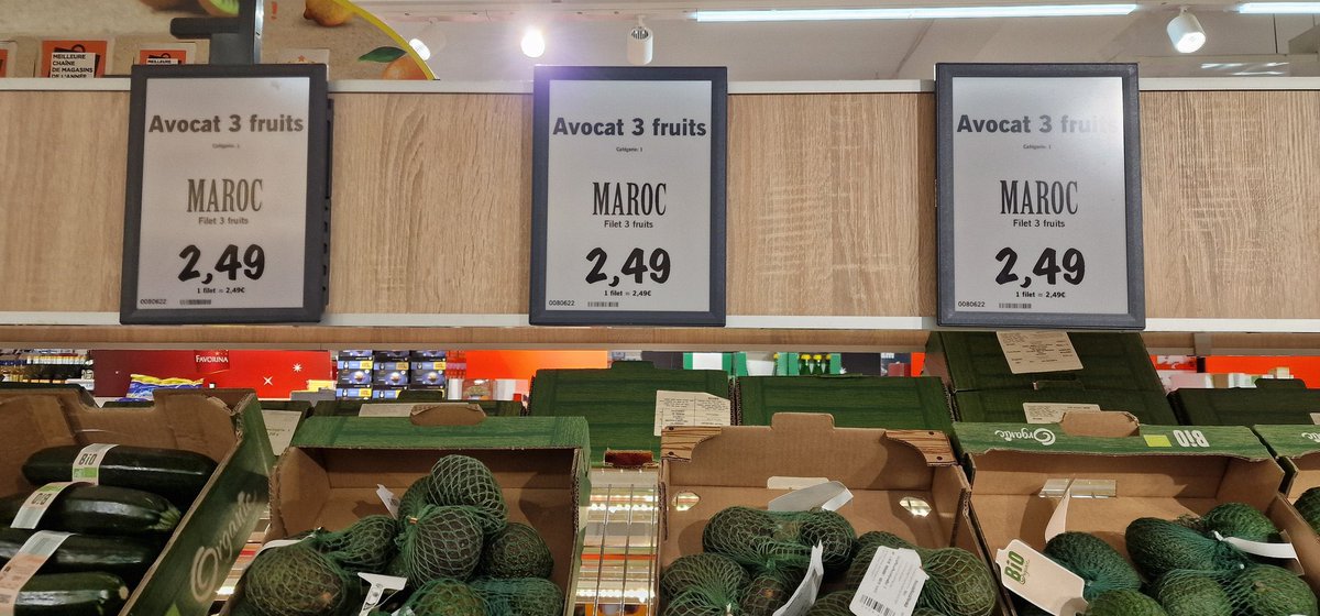 Monira Moon 🗝️ 🇳🇨 ❤️🇵🇸 🔻🇱🇧 tweet media