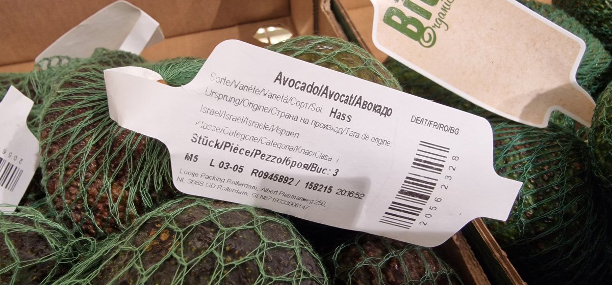 Monira Moon 🗝️ 🇳🇨 ❤️🇵🇸 🔻🇱🇧 tweet media