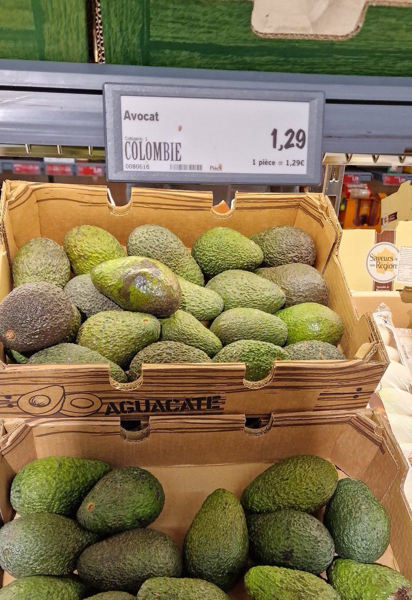 Monira Moon 🗝️ 🇳🇨 ❤️🇵🇸 🔻🇱🇧 tweet media