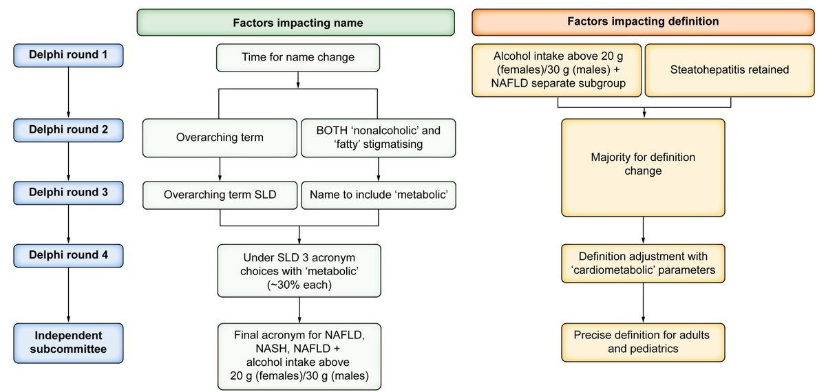 💥MASLD emerging from the fog of #fattyliver💥

➡️New nomenclature aims to boost awareness of #MASLD beyond the focus on obesity❗️

👇Find out more👇

Editorial➡️bit.ly/3TcQprI
 
Delphi consensus statement on #NewNomenclature➡️bit.ly/3NSPgme

#LiverTwitter