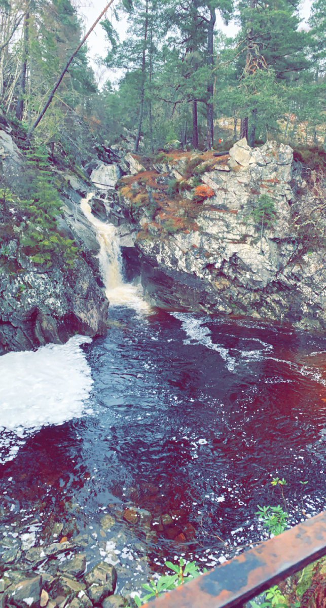 ScotlandUnwrap's tweet photo. The Falls of Bruar, where Rabbie Burns based his 1787 poem ‘The Humble Petition of Bruar Water.’ A stunning woodland walk behind the House of Bruar, offering views of the falls and down the gorge 🏴󠁧󠁢󠁳󠁣󠁴󠁿

#Scotland #FallsOfBruar #RobertBurns #BlairAtholl #Perthshire https://t.co/Z9G0Uj3PQR
