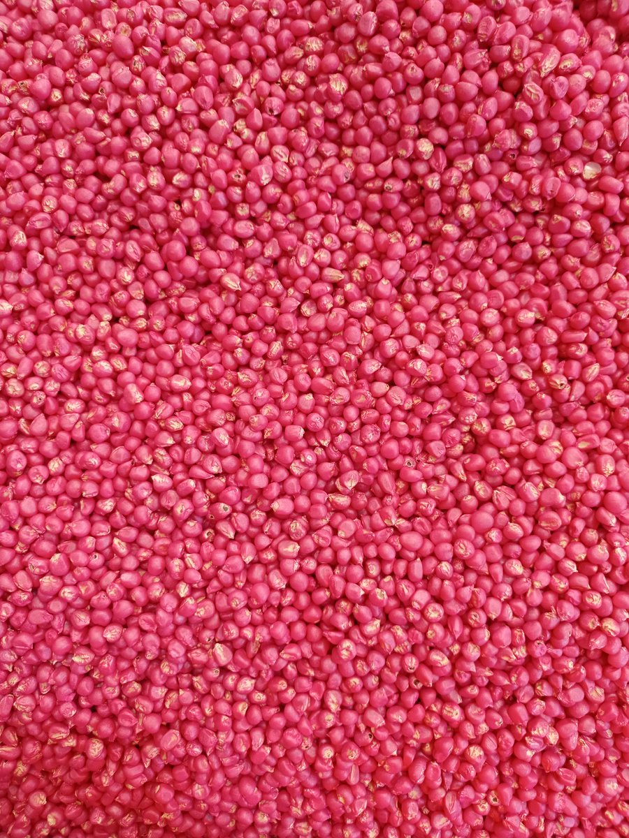 Tenemos más de 37 años trabajando por un próspero futuro agrícola venezolano 🇻🇪

🌱¿Te gustaría adquirir nuestra semilla? ¡Comunícate con nosotros para mayor información! 🌽