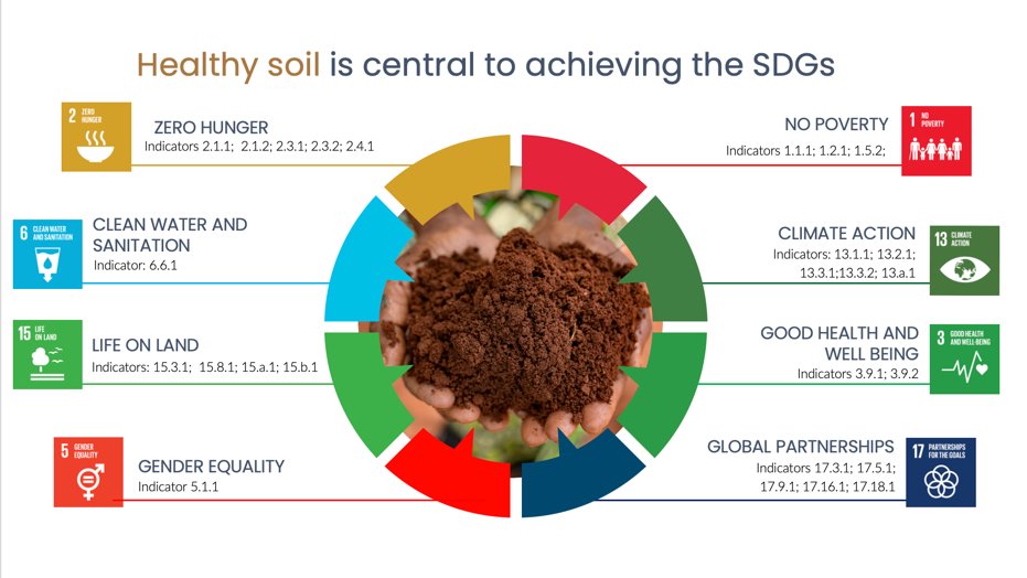 How many SDGs are dependent on the healthy #soil ?

Let's leverage the momentum from @COP28_UAE to make 2024 a huge success for #SoilHealth 
@CIFOR_ICRAF 👉 cifor-icraf.org/research/theme…
@ca4sh_global 
👉coalitionforsoilhealth.org
@4per1000 @Soil_Science @IUSS_ORG #COPSoil @UNCCD