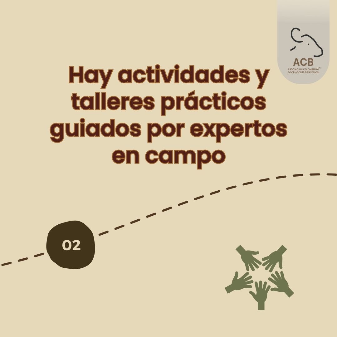 Asobufalos tweet media