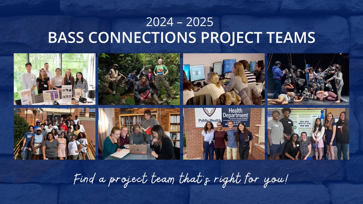 The deadline to apply for a 2024 - 25 @BassConnections team is quickly approaching! Check out all the teams, including the Brain & Society themed ones managed by DIBS, and be sure to get your apps in by 2/12 @ 5 pm! 🔗: bassconnections.duke.edu