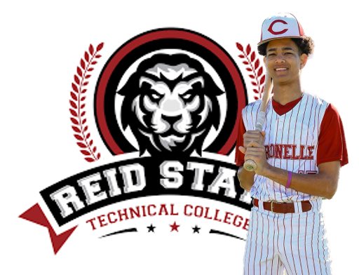 CitronelleBaseball tweet media