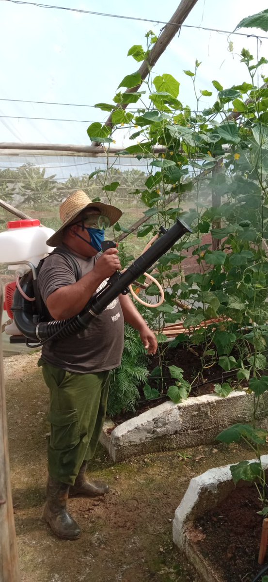 Solo trabajando duro saldremos adelante.# CubaViveYtrabaja