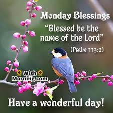 @Dianne__LadyD #MondayBlessings #TwitterFriends