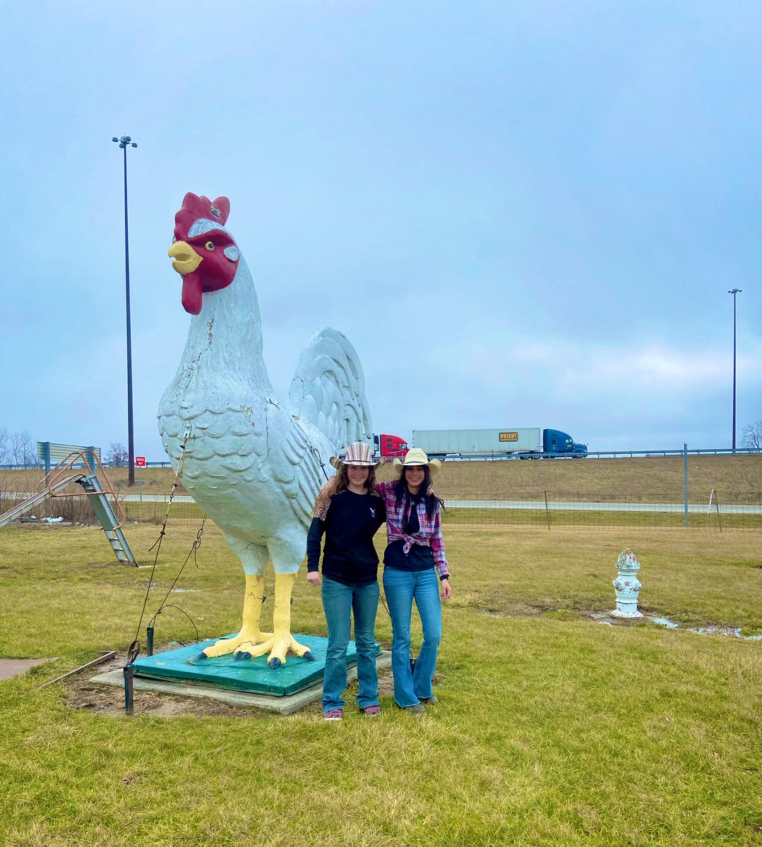 I bet you wish you could be as cool as us 😎 🐓