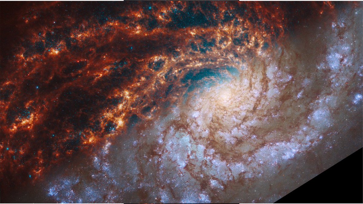 WebbFeed's tweet photo. All 19 PHANGS images: Webb (upper left) vs Hubble (bottom right). Combined images from the latest STScI press releases.
Added to JWST Discovery Tracker.
https://t.co/NXEI4eHUVg
#jwst #phangs https://t.co/22ebkX4tjh