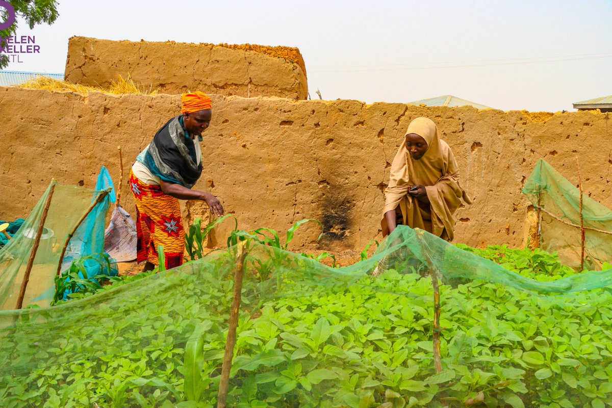 nighealthwatch's tweet photo. The intersection between climate change, health & nutrition is becoming evident.
In this #NHWTorchlight piece, @solomonyemi
discusses how @HelenKellerNG uses this initiative to combat nutrition issues exacerbated by #climatechange in Nigeria.
Find out: https://t.co/VDzgHB2l5w https://t.co/FUEFHqp41I