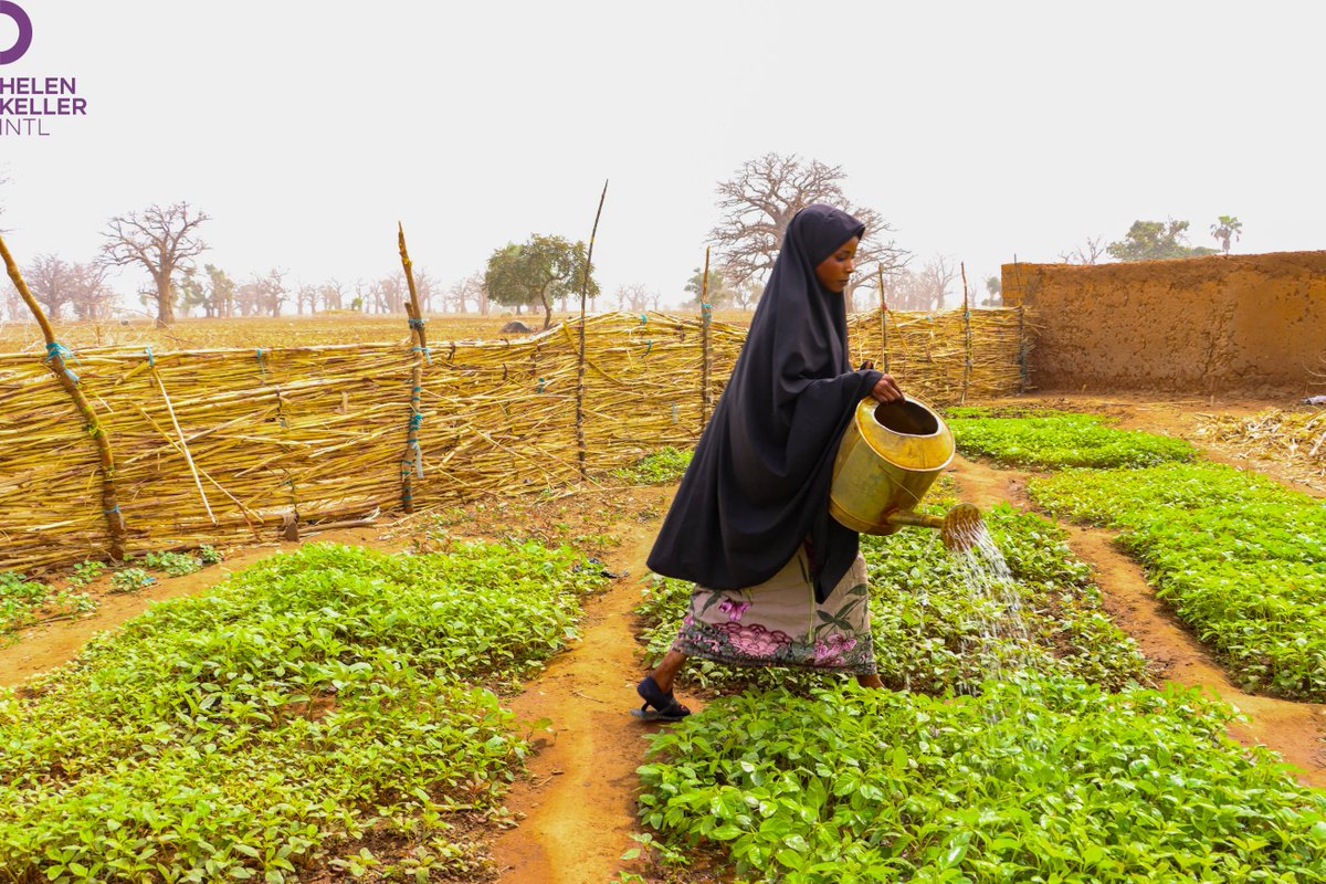 nighealthwatch's tweet photo. The intersection between climate change, health & nutrition is becoming evident.
In this #NHWTorchlight piece, @solomonyemi
discusses how @HelenKellerNG uses this initiative to combat nutrition issues exacerbated by #climatechange in Nigeria.
Find out: https://t.co/VDzgHB2l5w https://t.co/FUEFHqp41I