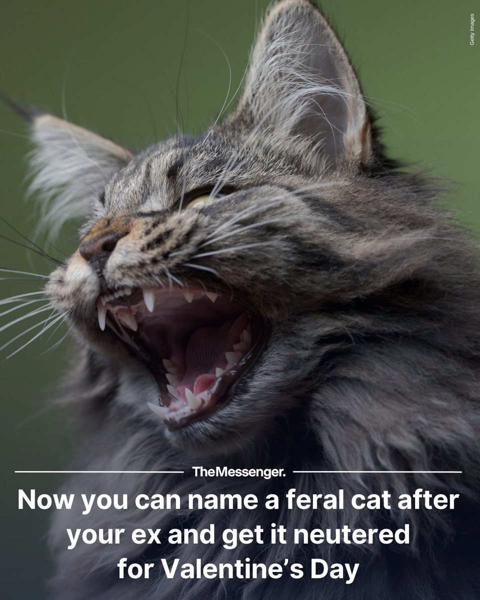 "Because some things shouldn't breed" 🤭trib.al/56G9FnC