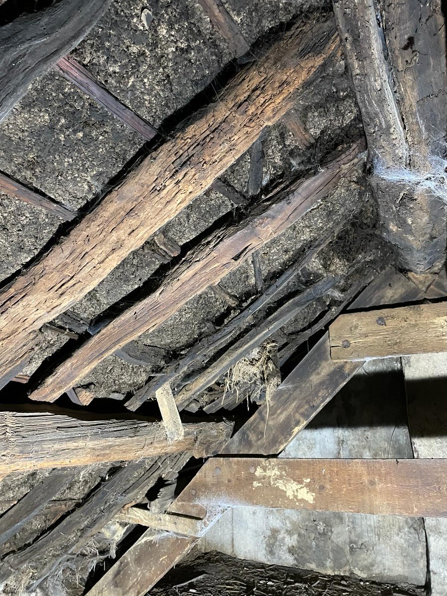 thatchertaggart's tweet image. Another authetic #Irish #Thatched #Scraw Sod roof structure discovered below a corrugated tin roof. Again unlike the @folkparkomagh @CommunitiesNI in partnership with @citbni attempts, the #Scollops #Spars are not forced through the sods to create an inner hedge hog effect. #Trad