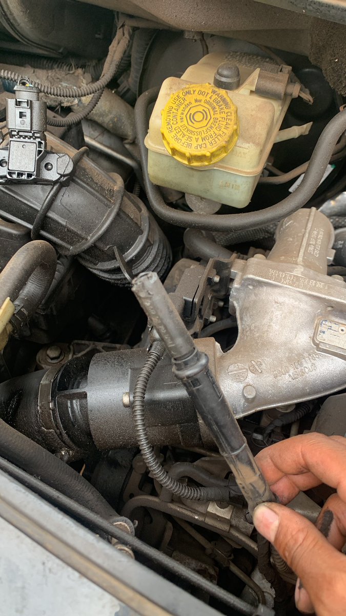 Duke_Of_Pitori👑 tweet media