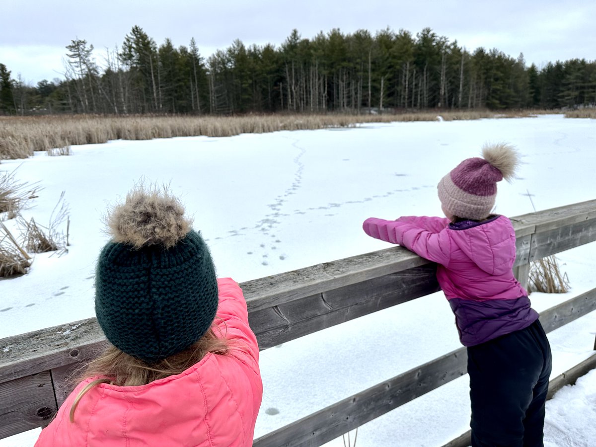 First 'Making Friends with Wildlife' field trip of 2024 at Little Cataraqui Creek Conservation Area today! We loved seeing all the tracks on top of the ice. Students from <a href="/alcdsb_stph/">St. Patrick Catholic School (Harrowsmith)</a> guessed they were from healthy foxes or coyotes! <a href="/alcdsb/">ALCDSB</a> <a href="/CataraquiCA/">Cataraqui Conservation</a>