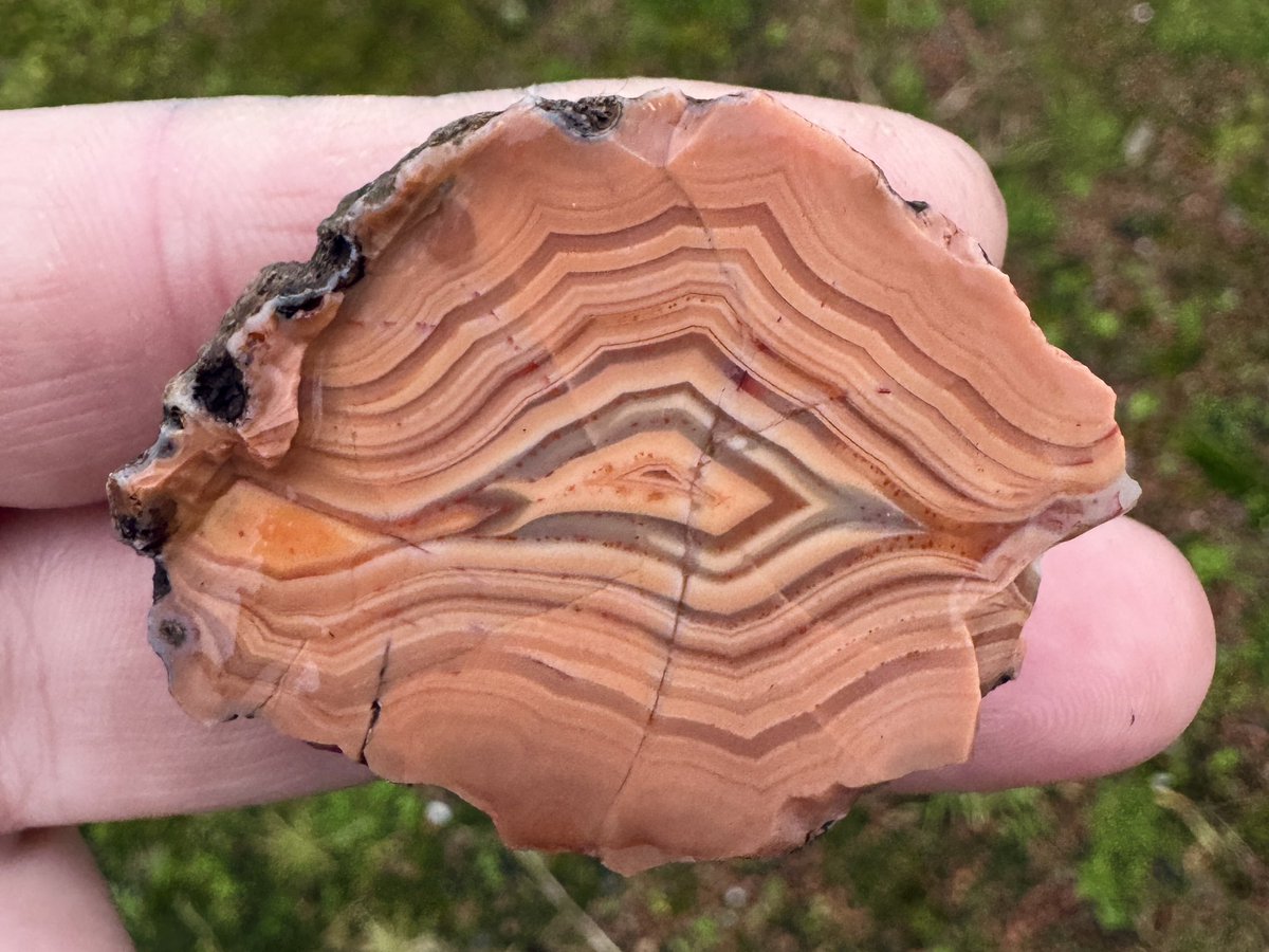 Wore an old jacket today and found this wee Fife agate in the pocket 🖤 #MineralMonday