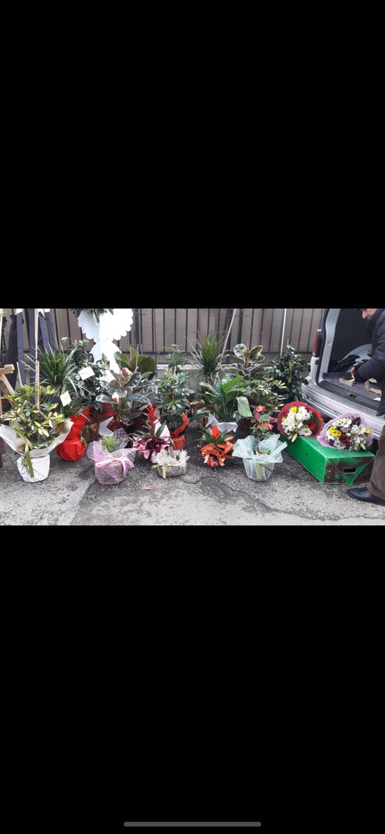 <a href="/sorogretmenim/">Sor Öğretmenim</a> <a href="/Yusuf__Tekin/">Yusuf Tekin</a>  Sayın bakanım sizden açıklama bekliyoruz. Sizler için çiçekleriniz  gönderildi . ☺️ Umarım beğenirsiniz ☺️