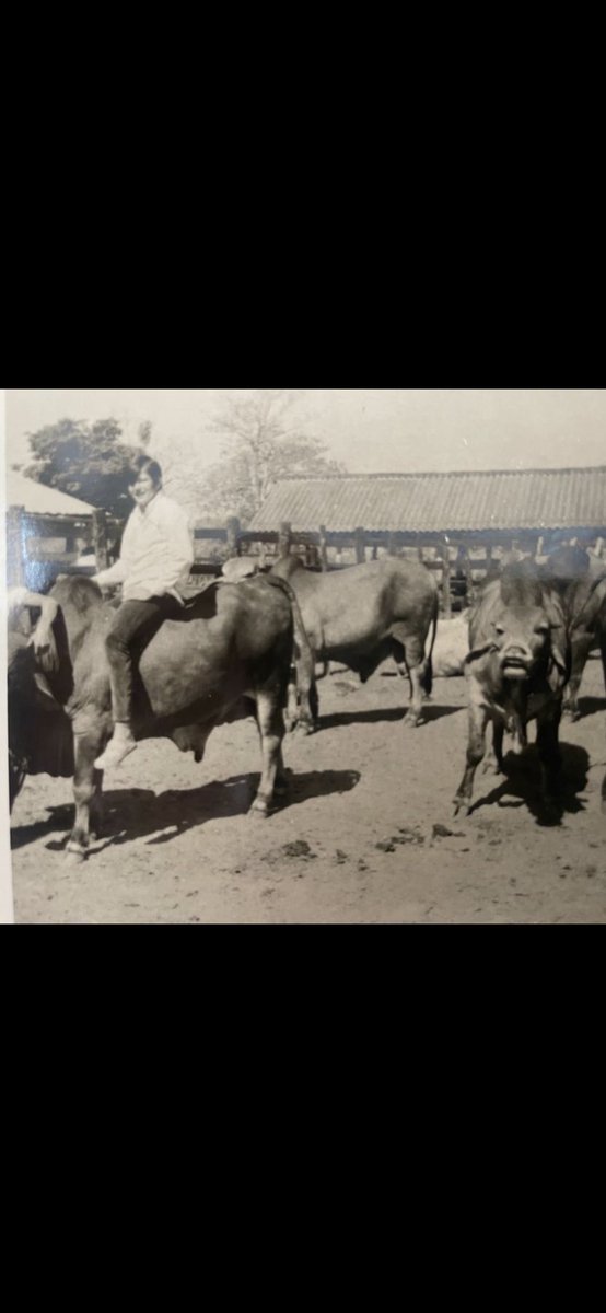 Me hacen llegar los hijos de mi querido primo recientemente fallecido, GUGUI, esta Fotografía que guardaba en sus papeles personales . Gratos recuerdos del tiempo con él y testimonio irrefutable de que alguna vez tuve cabellera 😂