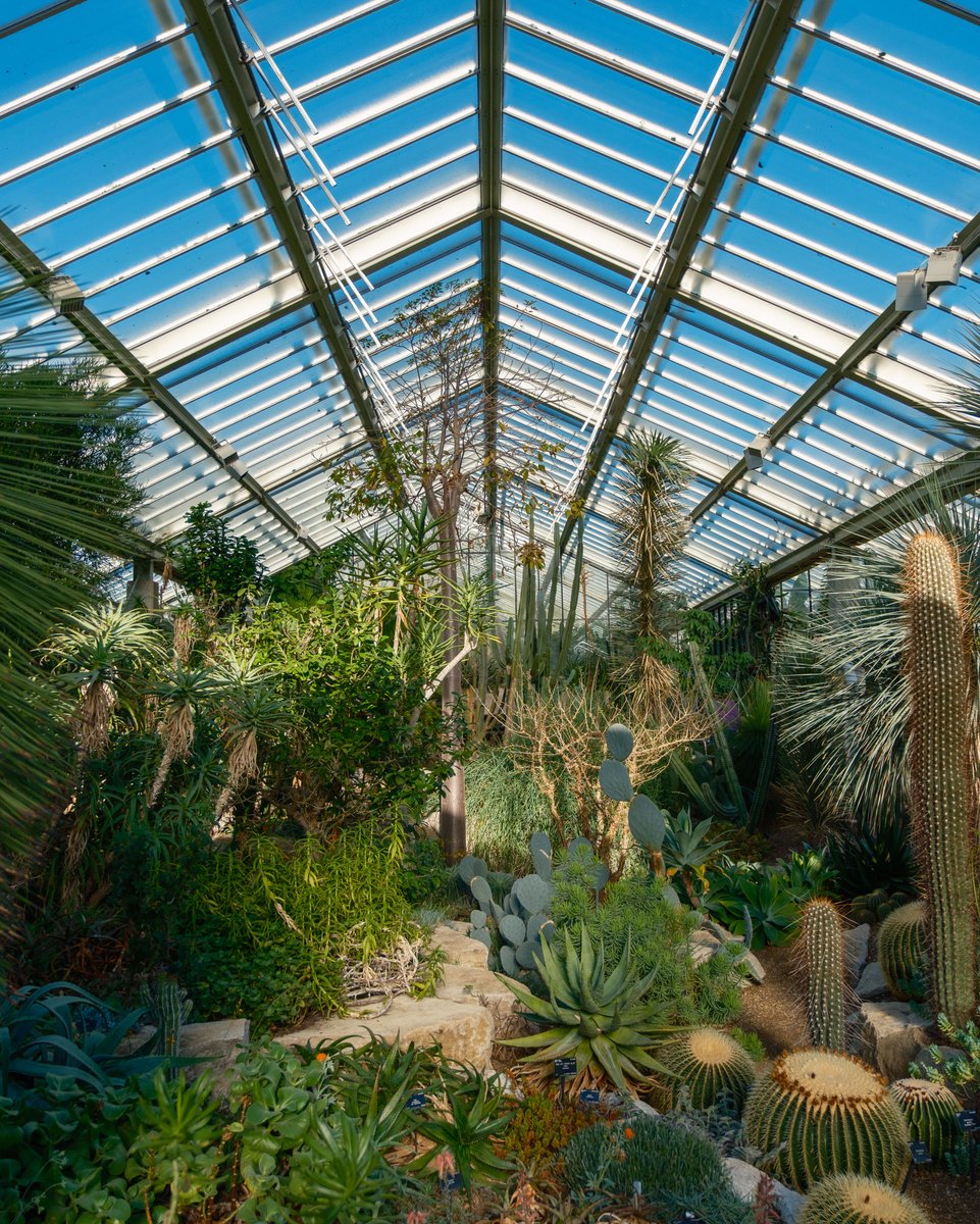 thebumpercrew's tweet photo. Kew Gardens | London

https://t.co/wa2gvXZlWV
https://t.co/dbvcyXjcmU

#thebumpercrew #newblogpost #newontheblog #kewgardens #kewgardenslondon #london #naturephotography #botanicalgardens #explore #travelgram #beautifuldestinations #gardens #citylife #uk https://t.co/eVF0BFz9QZ