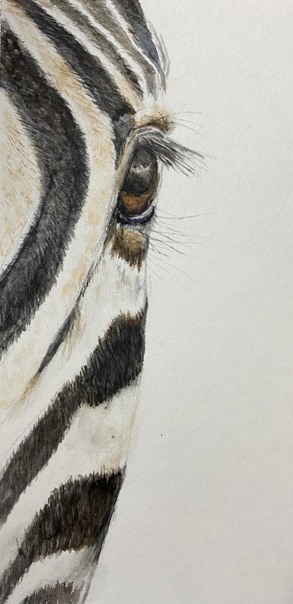 New studio, new #bamboo #paper . A small part of a #zebra seems to have emerged. #art #painting #original #nature #wildlife #handmade #watercolour #eyes #stripes #scottishartist #ArtistOnX