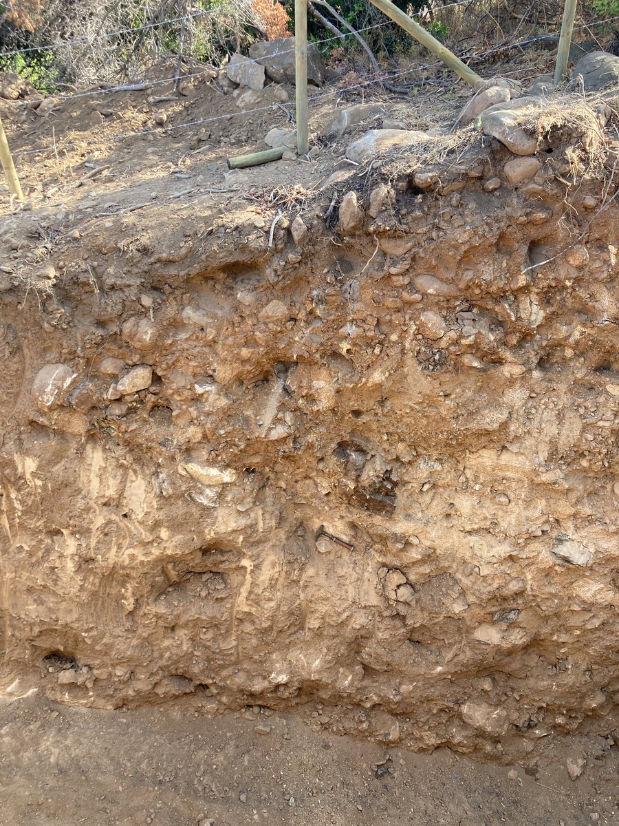 Gabriel Easton Vargas tweet media