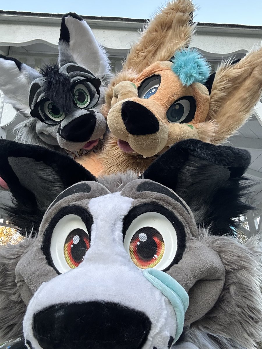 celebrating #morefurlessmonday remembering my #fursuit siblings on a trip to the park :3

w/ <a href="/Winter_Snowfox/">❄️Chen❄️</a> and <a href="/SkaiDoggo/">Skai #BLM✊🏿✊🏾✊🏽</a> 

📍 : Bordentown, NJ
✂️ : <a href="/MoreFurLess/">More Fur Less</a>