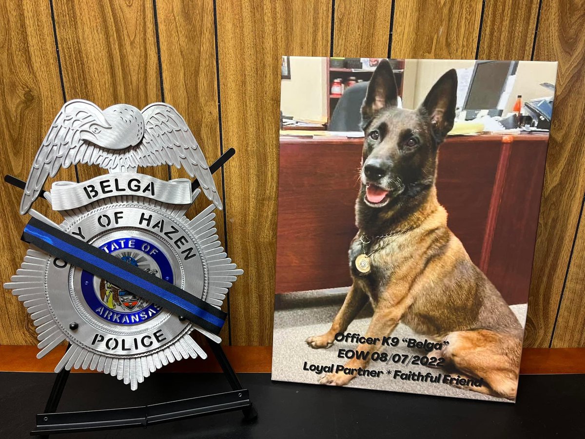 Belga was our K9 for several years and he was an awesome dog, probably one of the best I’ve ever seen. He got cancer in 2022 but wouldn’t quit til the day he passed. Metal4Valor found out and made him a badge. Thank you guys so much. He caught a lot of bad guys!!! #chiefbtaylor