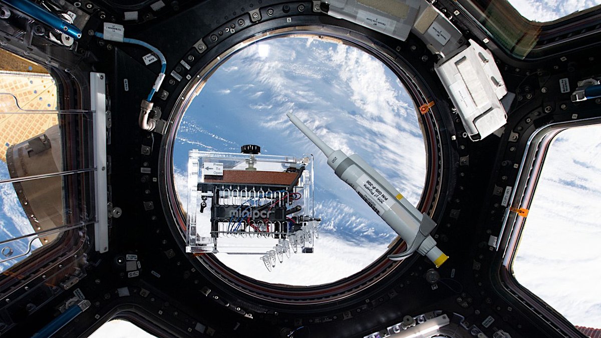 astrobiology's tweet photo. Offworld Genomics Research: Expanding The Genes in Space™ Toolkit On The International Space Station
https://t.co/wcN8AwEWsg #astrobiology #genomics #ISS #SpaceStation #MinION #miniPCR #NG20 @GenesInSpace @nanopore @miniPCR #NASA #microgravity https://t.co/NvvbKmQ5pG