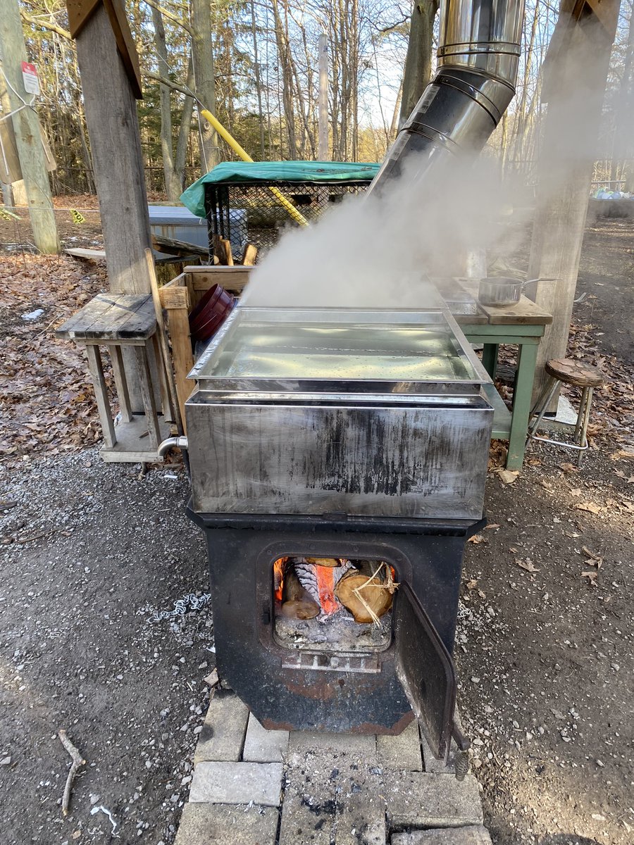 It’s early this year, but the maple sap is dripping and we are boiling our first batch of maple syrup. Thank you to the students @BrianPS_TDSB for helping us to start the season!