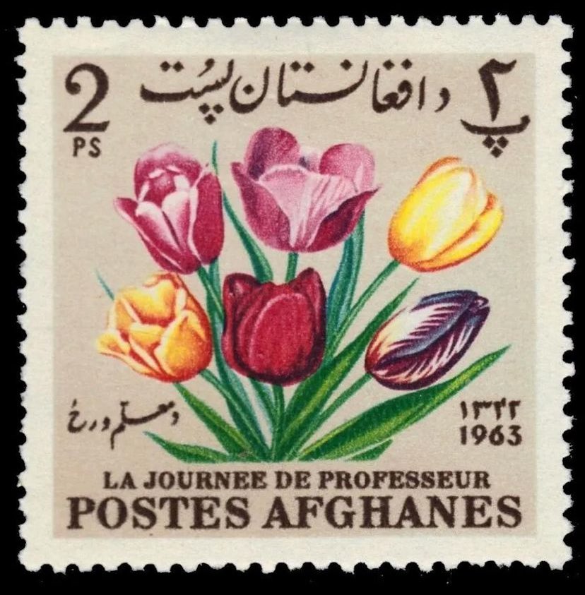 Afghan post stamps from the early 1960s 🌷🌷🌷🌷🌷