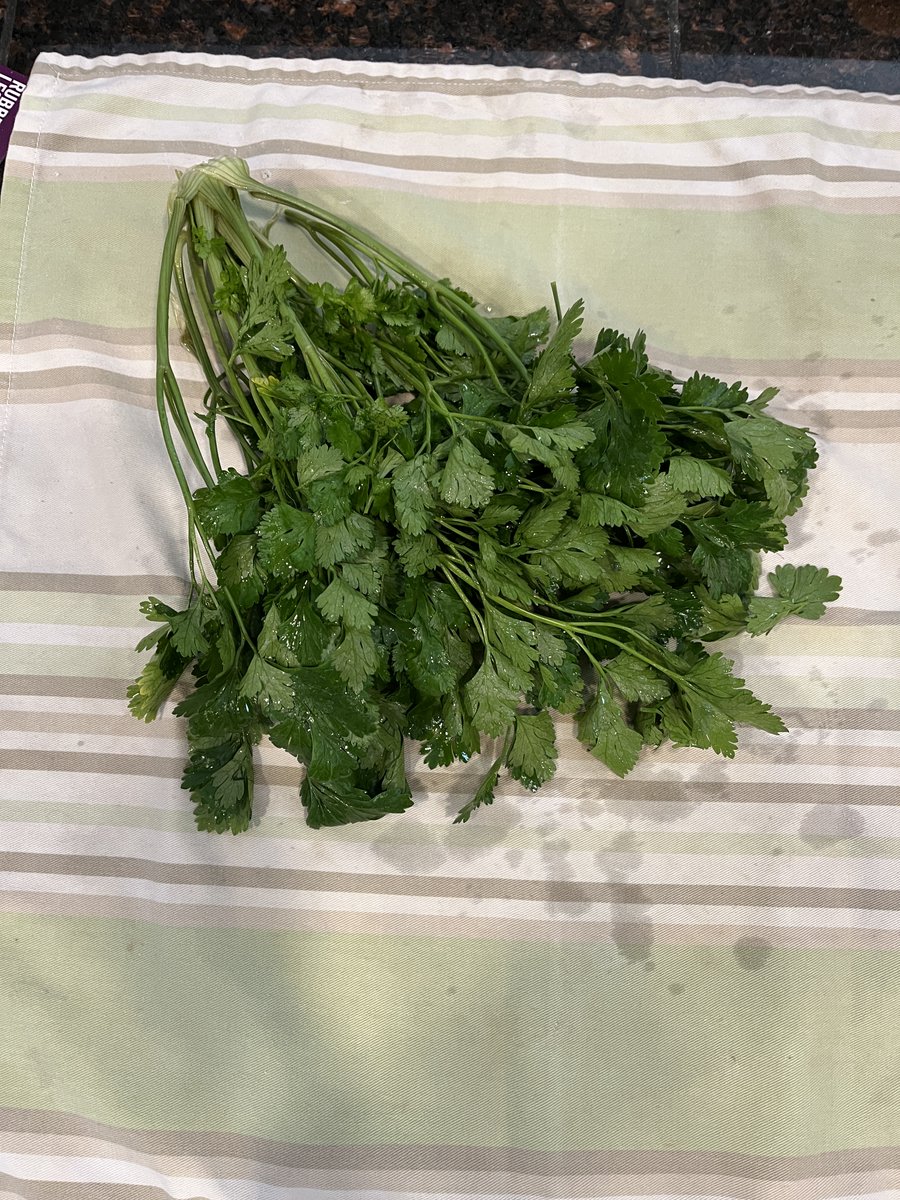 The best part of growing parsnips is getting the parsely along for the ride.  Do you buy or avoid parsnips?