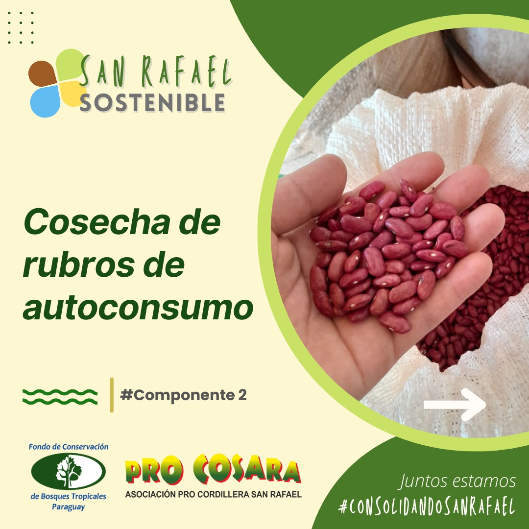 PRO COSARA tweet media