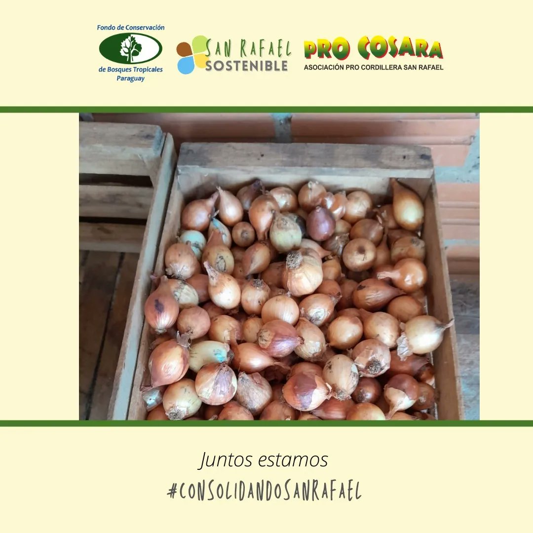 PRO COSARA tweet media