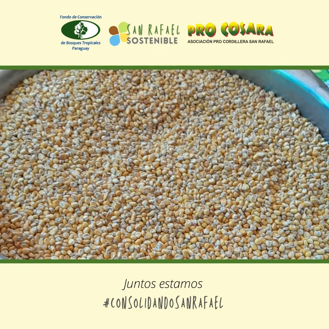 PRO COSARA tweet media