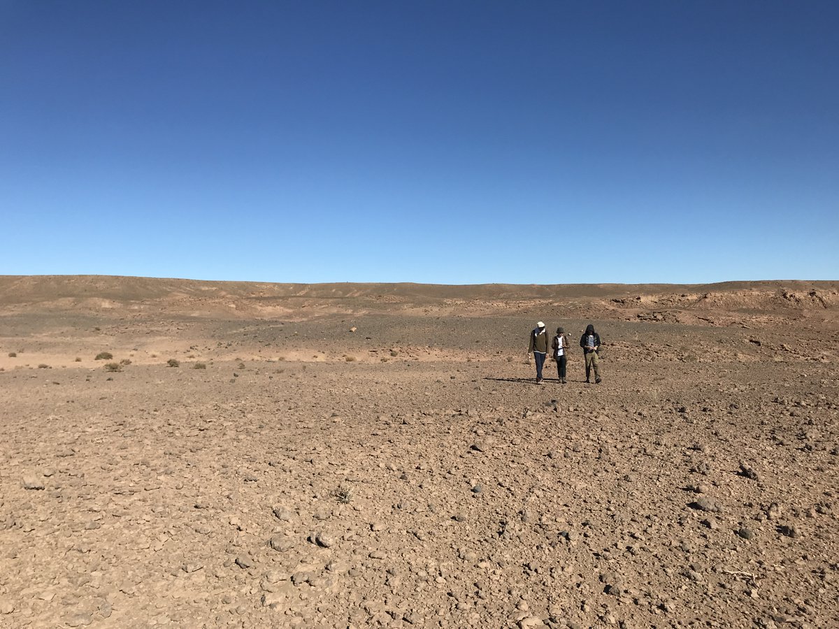 Lorenzo Rook tweet media