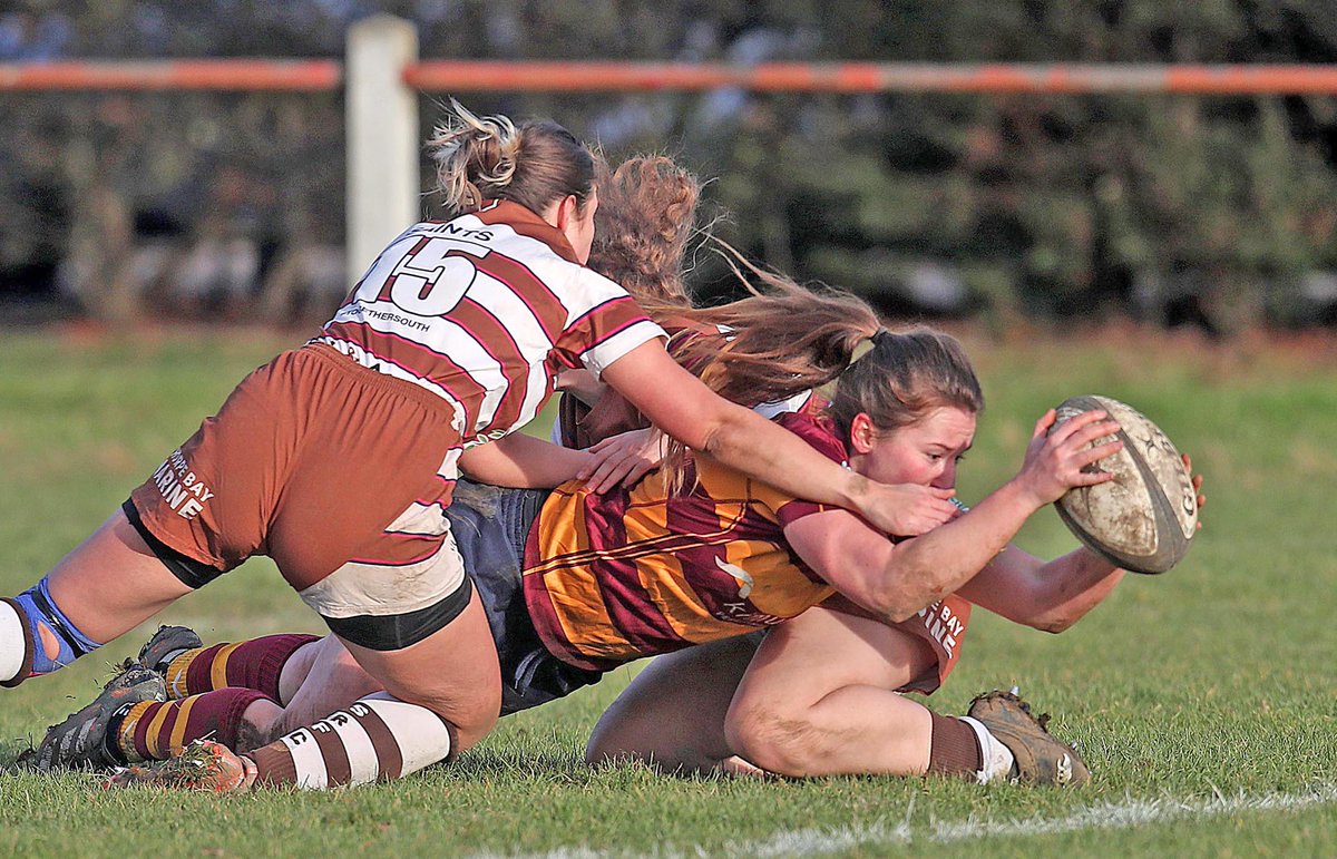 NickyHayesPhotos tweet media