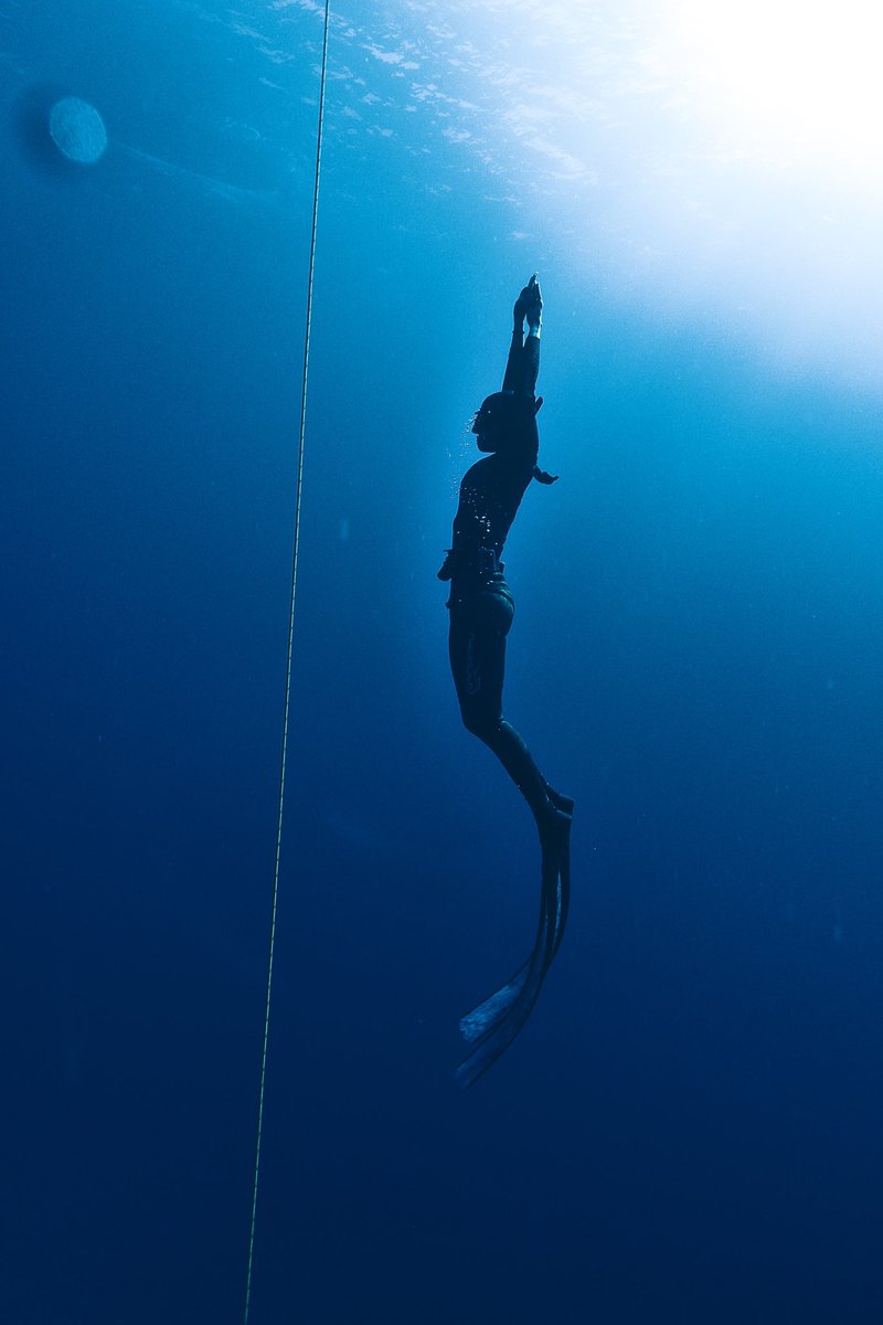 EverlaynBorges's tweet photo. 𝐎𝐧𝐞 𝐁𝐫𝐞𝐚𝐭𝐡 𝐢𝐧𝐭𝐨 𝐭𝐡𝐞 𝐃𝐞𝐞𝐩 𝐁𝐥𝐮𝐞 #freediving #diving https://t.co/i4glg8S98h