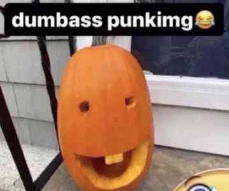 avery (@z1nnias) on Twitter photo 