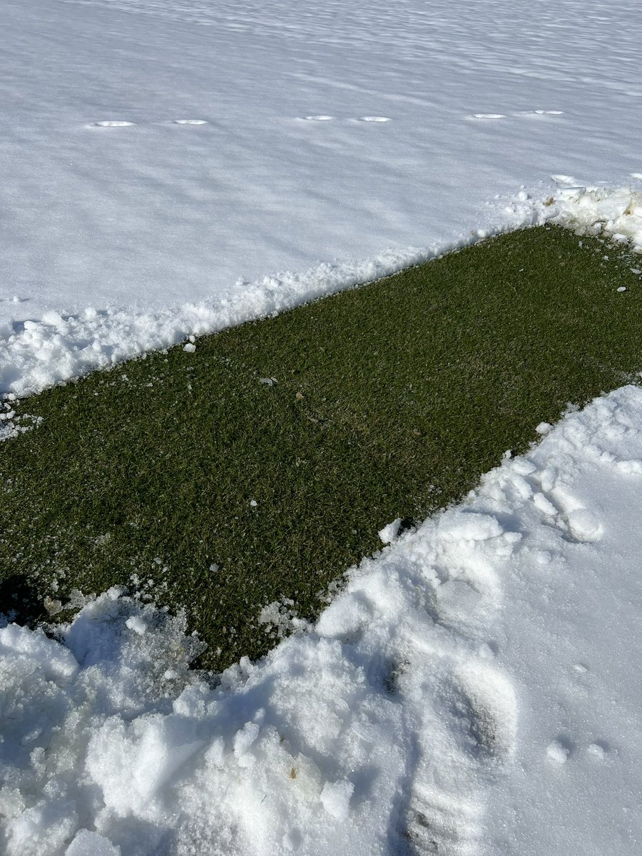 WinsteadMatrix's tweet photo. Snow blanket did its job during the week of single digit temps. The over-seeded @Tahoma31Bermuda Matrix is ready for its new home in a few weeks. @winsteadturf @UnitedTurfnTrak #ReadyToPlayTurf #SandBase #GrownOnPlastic #nofilter #SEC https://t.co/ddyNtbHXe3