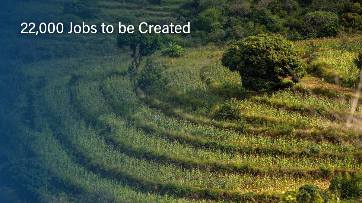 WorldResources's tweet photo. TerraFund for #AFR100 is channeling USD 17.8 million to local leaders in three of Africa’s vital landscapes!​

Learn more about the organizations + businesses from Kenya’s Greater Rift Valley👇
https://t.co/yV3KXTNtQe

​#GenerationRestoration https://t.co/dXCf8zSeKw