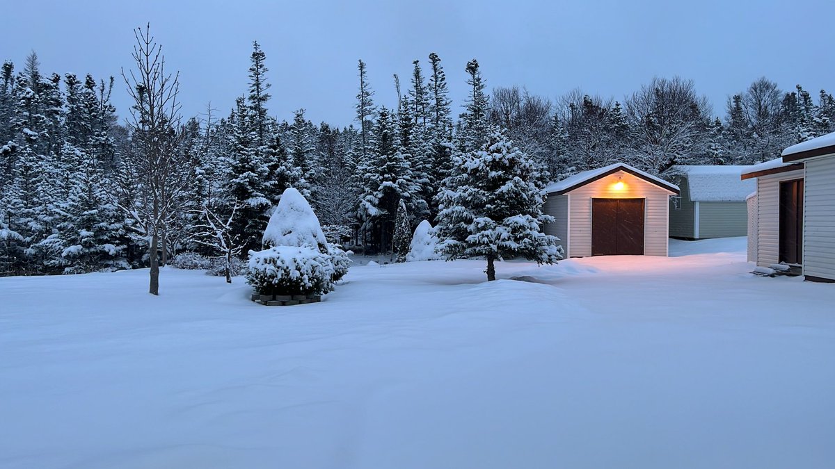 ⁦<a href="/EddieSheerr/">Eddie Sheerr</a>⁩ my backyard. Hope you’re well!