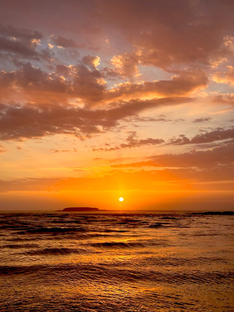 NewyBeachBum's tweet photo. Tuesday.
This morning was so beautiful! And the water is so so clear and cool. Perfect.
#Sunrise #SaltTherapy #Golden
2024 day 30/30 π§‘πβοΈ https://t.co/b5WZt7knQu