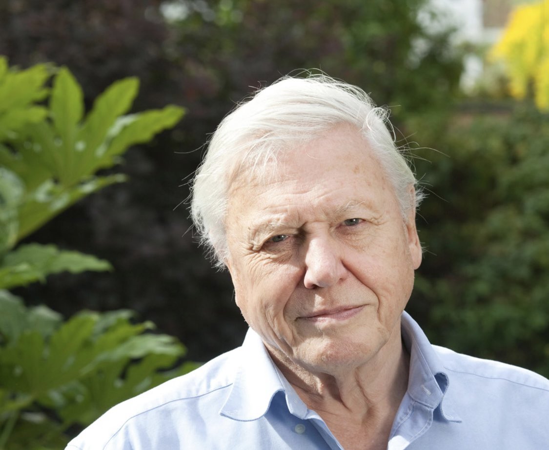 Jane Griffiths tweet media