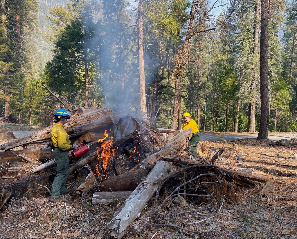 Active pile burning is taking place Monday-Wednesday this week (Jan 29 - Jan 31) along Forest Drive in Wawona 🔥 NPS photos/ J.Anderson #pileburning