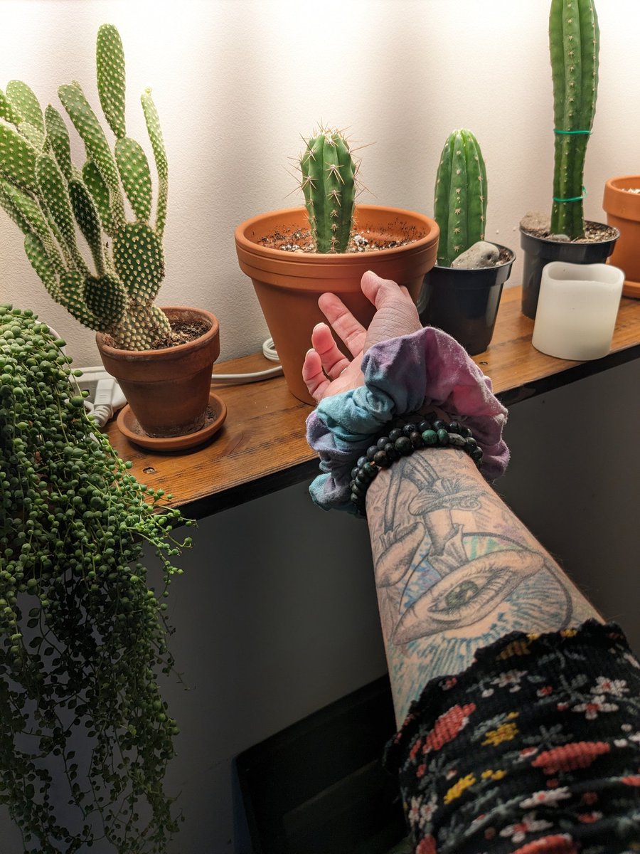 Sacred cacti 🌵