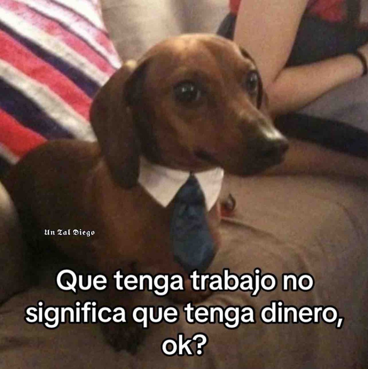 Guarromantico_'s tweet photo. https://t.co/r3fL6Gukij
