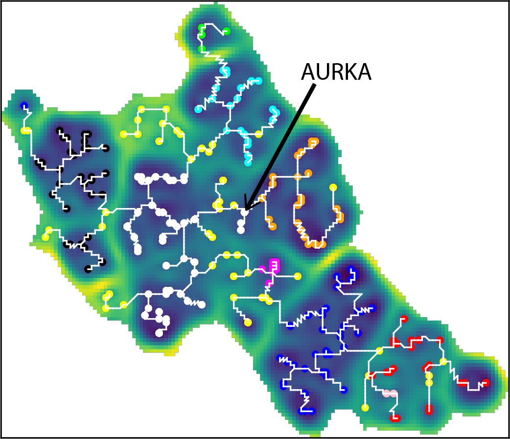 Isaac Filella-Merce tweet media