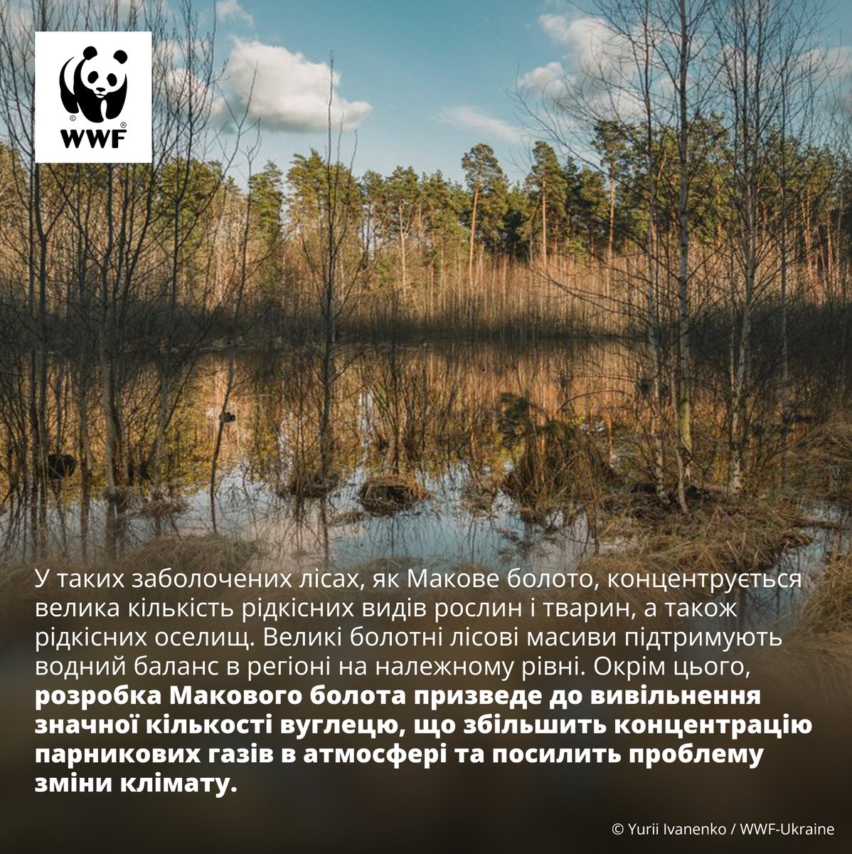 WWF-Ukraine (@wwf_ukraine) on Twitter photo Понад 200 га #природоохоронних #лісів Полісся опинилися під загрозою #знищення.
WWF-Україна звертається до <a href="/Kabmin_UA/">Кабмін України</a> з проханням перед аукціонами повернути процедуру погодження з боку <a href="/mindovkillya/">Міндовкілля України</a>
Більше про новину👉bit.ly/429CIwr Понад 200 га #природоохоронних #лісів Полісся опинилися під загрозою #знищення.
WWF-Україна звертається до <a href="/Kabmin_UA/">Кабмін України</a> з проханням перед аукціонами повернути процедуру погодження з боку <a href="/mindovkillya/">Міндовкілля України</a>
Більше про новину👉bit.ly/429CIwr